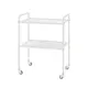 Tool table ST-I 1.02 on rollers (shelves: metal), TM Alumix TMK