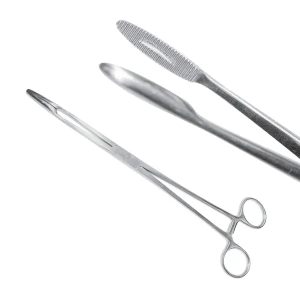 Gross-Maier straight clamp 25 cm (corndog), J-18-046