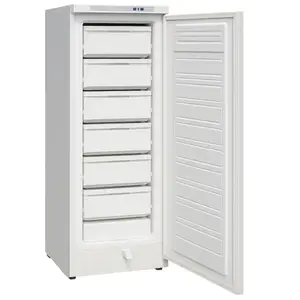 DW-40L262 freezer